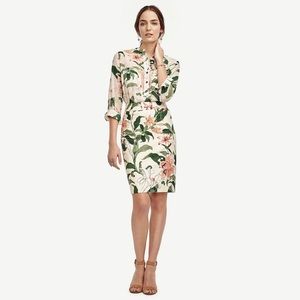 Ann Taylor Garden Print Pencil Skirt